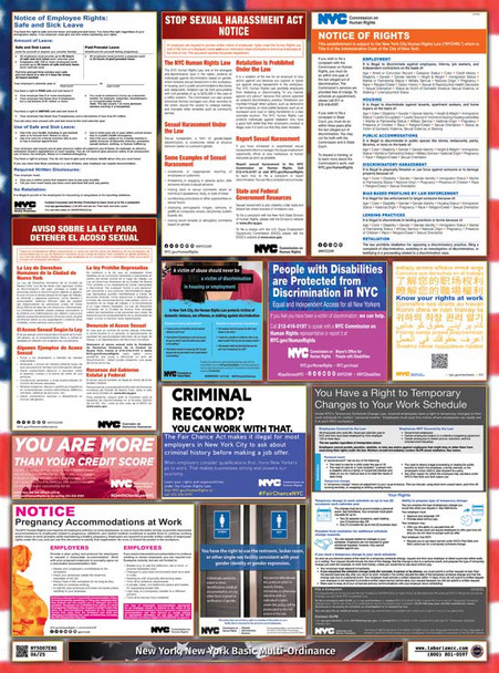 New York, New York Basic Multi-Ordinance Poster