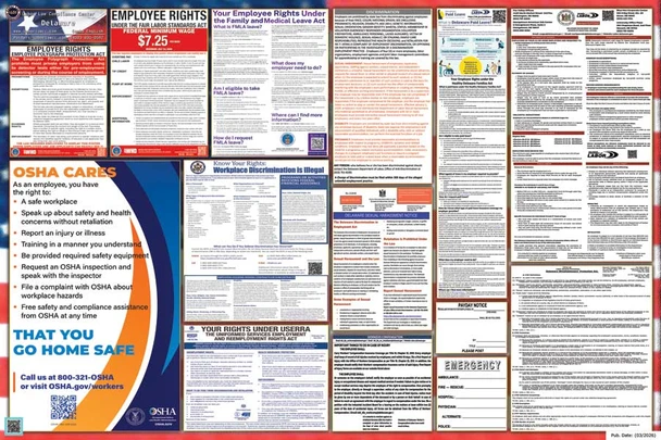 Delaware Labor Law Posters State and Federal Combo