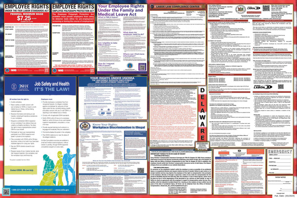 Delaware Labor Law Posters State and Federal Combo