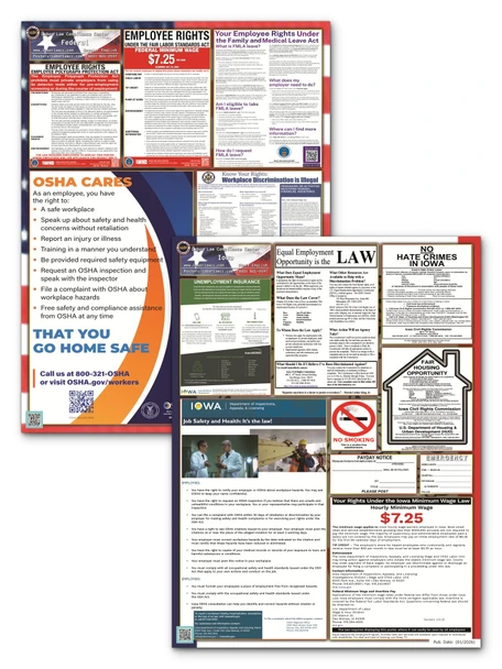 Iowa State and Federal Poster Set