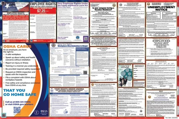 New Hampshire Labor Law Posters State and Federal Combo
