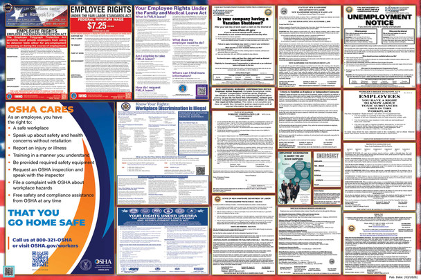 New Hampshire Labor Law Posters State and Federal Combo