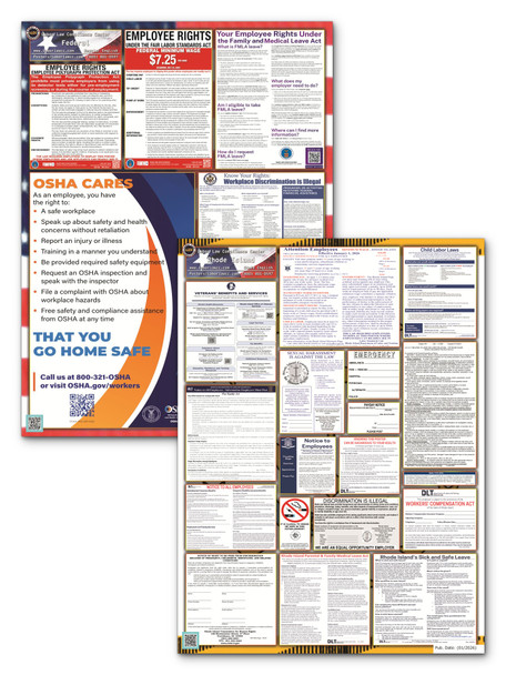 Rhode Island State and Federal Poster Set
