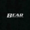 Bear Training Solutions, Inc