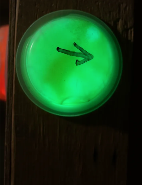 3" Lightshape Self Adhesive Lights (Case of 10) - main product image