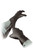 Black Talon Ultimate Nitrile Emergency Exam Gloves