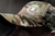 Blaze Defense Systems Flexfit® MultiCam® Cap
