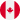 CAD flag