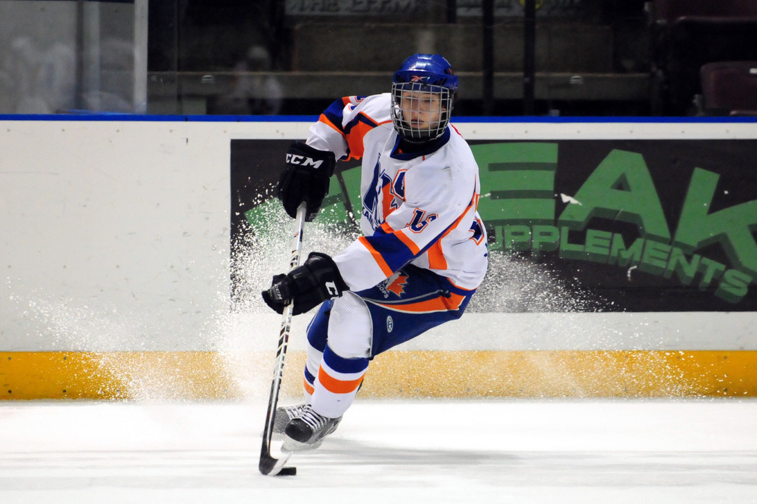 Stick It to the Man: The Ultimate Guide to Hockey Stickers