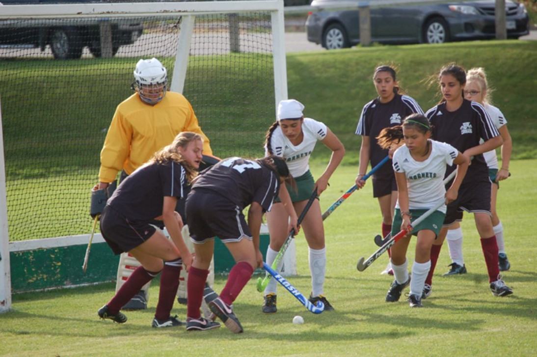 How to Choose A Field Hockey Stick