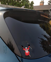 Lacrosse Car or Truck Window Graphics