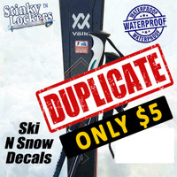 Ski n Snow Decals-Duplicate Set