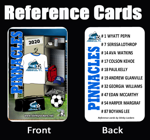 parent-soccer-ref-cards.jpg