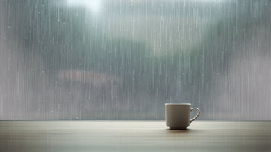Which cabinet material survives Singapore's 90% humidity?