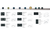 Cocco VC 728G + VH 1339MB cooker package — Arimokko Singapore