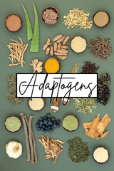 The Power of Adaptogens: What They Are and How They Help