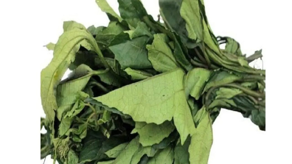 Where to Buy Fresh Ugu Leaves in the UK | African Vegetables Online