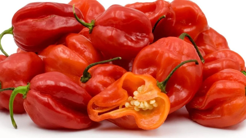 The Art of Cooking with Scotch Bonnet Peppers: A Culinary Adventure.