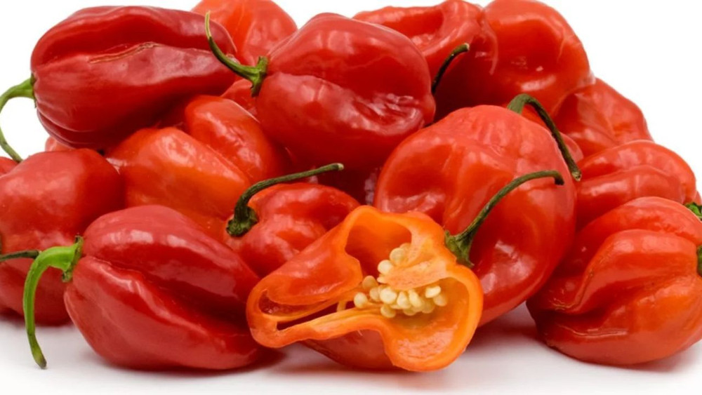 The Health Benefits of Scotch Bonnet Peppers You Didn’t Know About.
