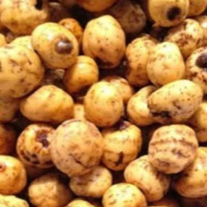 Tiger Nuts (Ofio) 250g

Tiger Nuts, also known as Ofio in Nigeria, are a popular traditional snack enjoyed across West Africa and many other parts of the world. Despite their name, tiger nuts are not actually nuts but small edible tubers known for their naturally sweet taste and chewy texture.

Our premium Tiger Nuts are carefully selected to provide quality and freshness, making them ideal for snacking and traditional African food preparations.