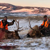 Elk hunts at Anchor P 