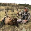 Archery Elk hunt in Montana