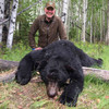 Spring Black Bear Hunt in British Columbia