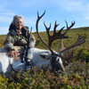 Woodland Caribou hunt in Newfoundland