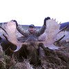 Moose hunt in British Columbia