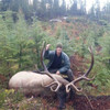 Elk Hunts in BC