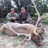 Fully guided elk hunts in New Mexico