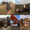 Alaska Combo hunts