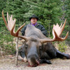 British Columbia Shiras Moose Hunt