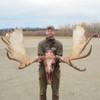 Alaska Moose Hunt