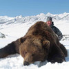 Kamchatka brown bear hunt in Russia