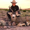 Sonora desert mule deer hunts