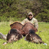 Eastern turkey hunts in Kansas