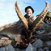 Ronda Ibex hunting in Spain