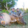 New Mexico Archery Elk Hunt