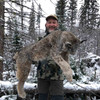 Lynx hunting in British Columbia