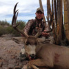 Desert Mule Deer Hunt