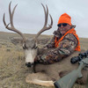 Rifle mule deer hunts in Wyoming