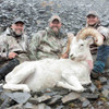 Combo hunt in Alaska