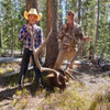 Wilderness Pack-In Archery Elk Hunt in Utah