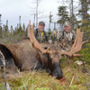 Eastern Canada Moose Hunt