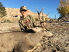 Ranch Mule Deer Hunt - Utah - 1089