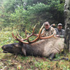 Rifle elk hunt