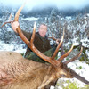 Elk - British Columbia - 1102