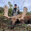 Newfoundland Moose Hunt