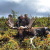 Remote Wilderness Trophy Moose   - Eastern Canada - 1174